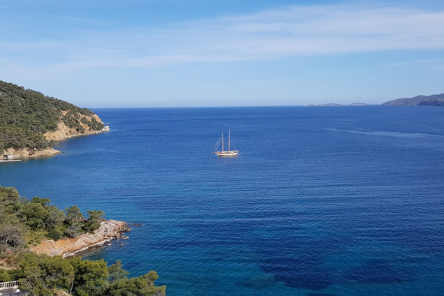 yacht sense